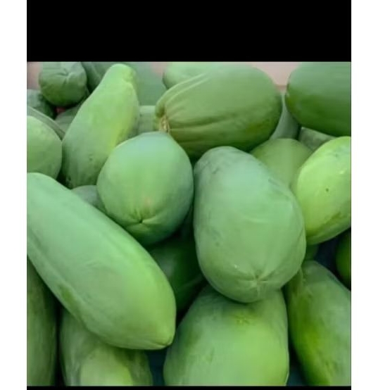 

Buah pepaya muda,segar 1kilo