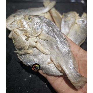 

TERMURAH IKAN ASIN MEDAN