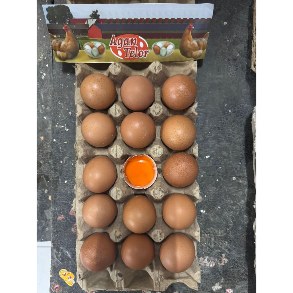 

Telur Ayam Negeri OMEGA 3 - 15 PCS GRADE AAA Fresh Bersih Kualitas Terbaik