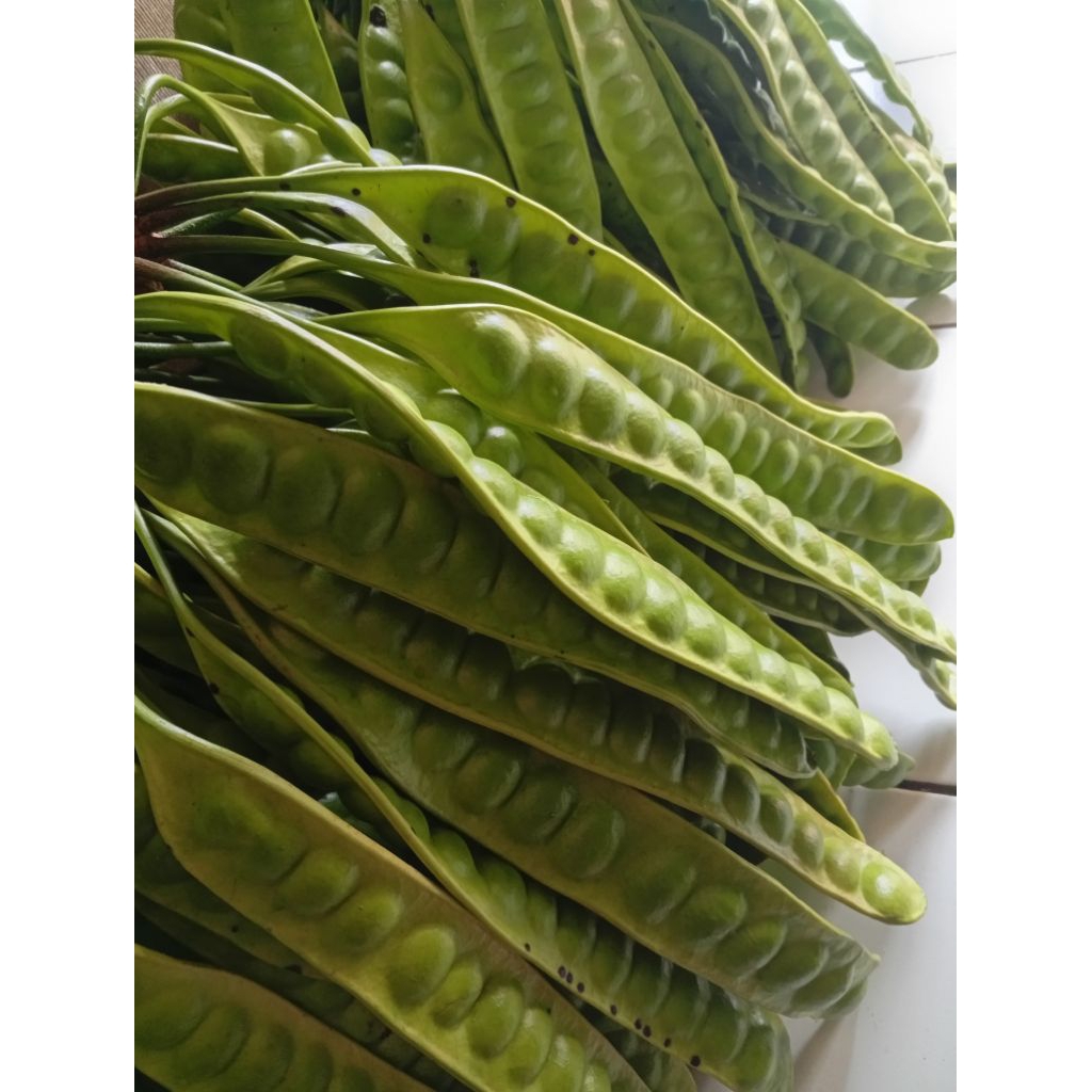 

pete padi super harga per 5 lonjor