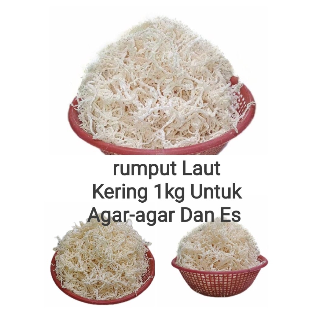

1Kg Rumput Laut Kering Halal Untuk Sop Buah Dan Es