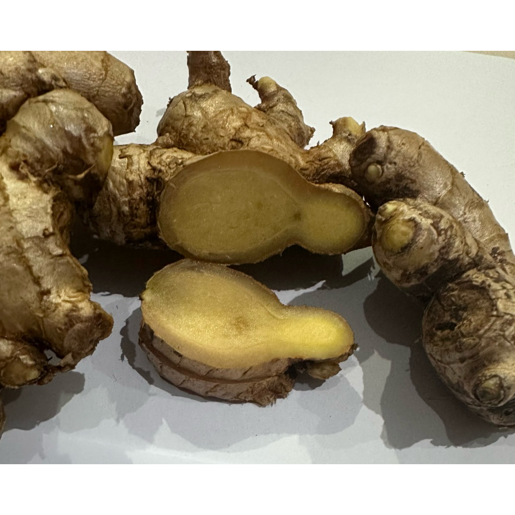 

Jahe gajah premium 1kg