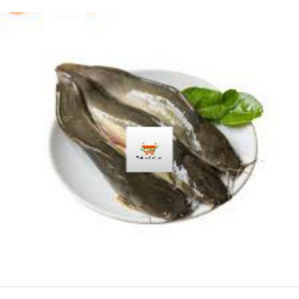 

Ikan Lele Frozen @1kg