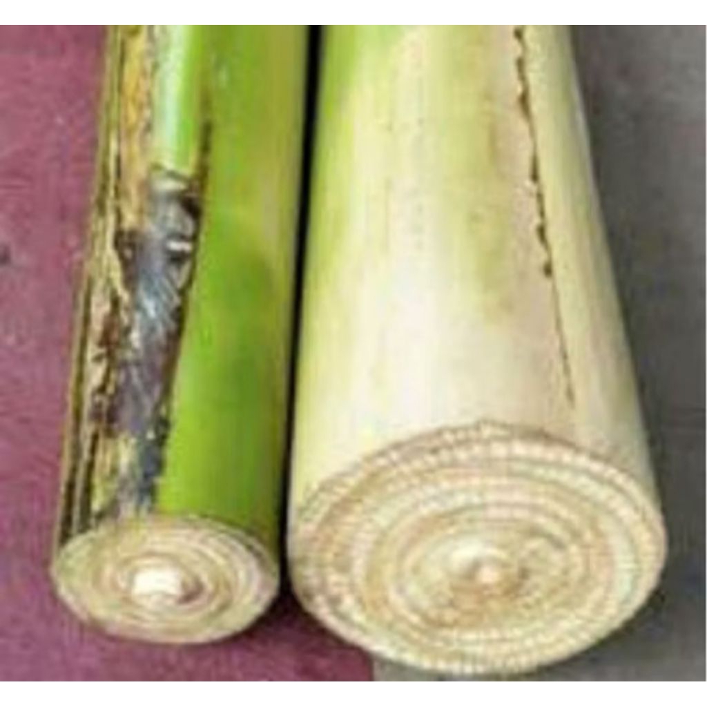 

Pelepah Pisang Basah 1 kg