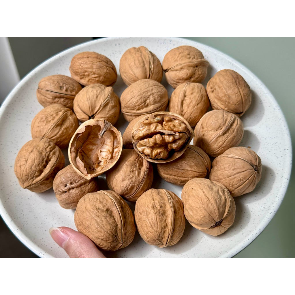 

Kacang Kenari Kering / Walnut Susu Import Halal 500gr