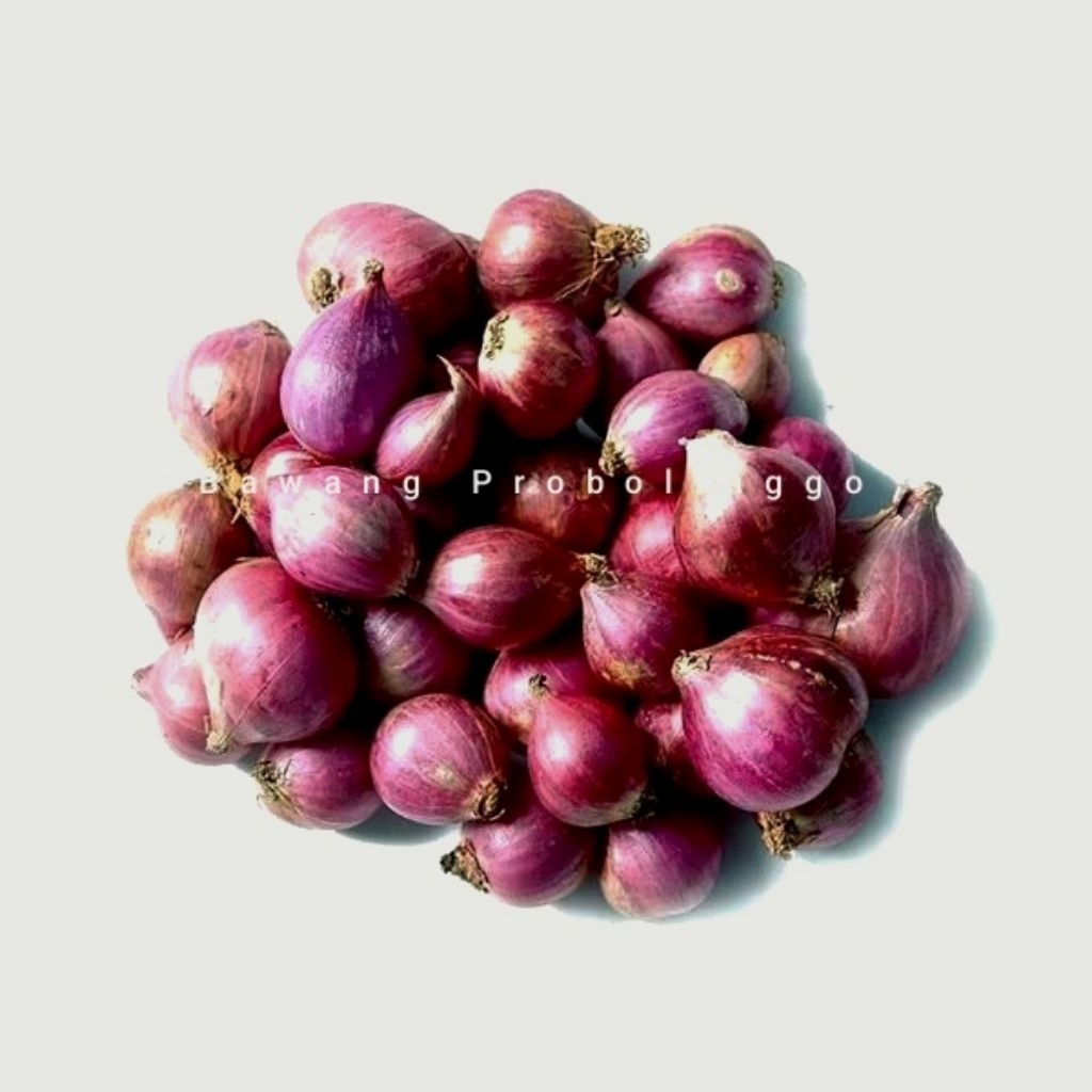 

Bawang Merah Original 100% Asli Lokal Probolinggo