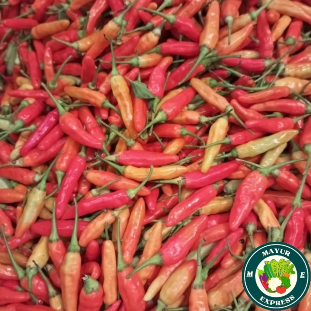 

Cabe rawit merah super ( 1 kg ) - ( 1/2 kg ) - ( 1/4 kg )