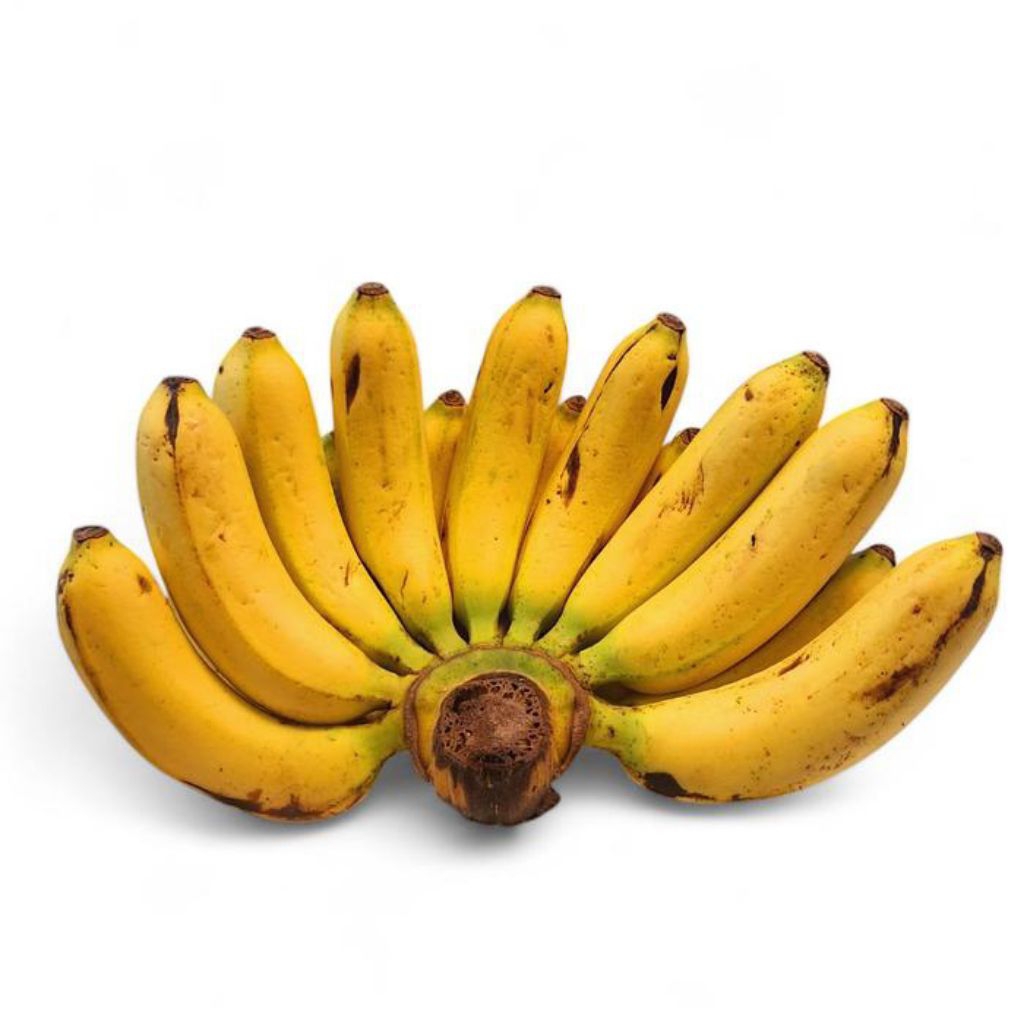

Pisang Barangan 1 Sisir (Buah Segar)