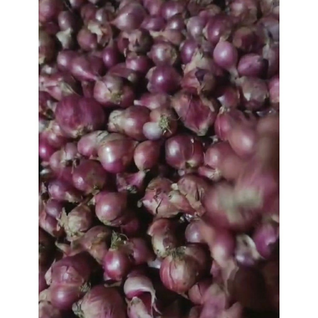 

Bawang Merah Nganjuk 1 Kg – Bawang Dapur Segar untuk Masakan