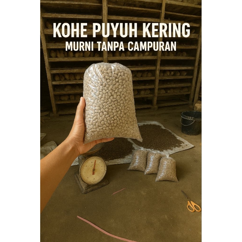 Kohe Puyuh Kering || Murni Tanpa Campuran