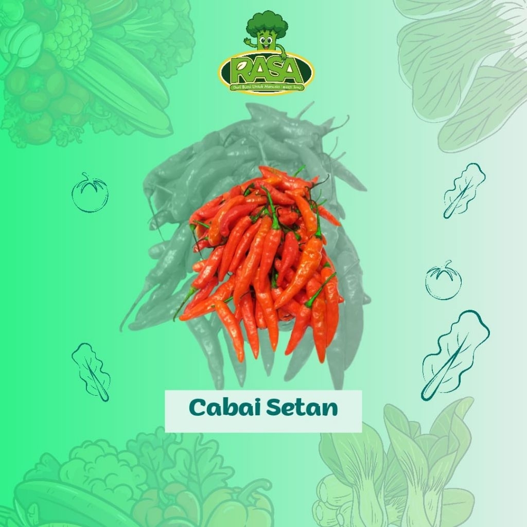 

Cabai Setan / Cabai Caplak Segar 100 gram, 250 gram, 500 gram