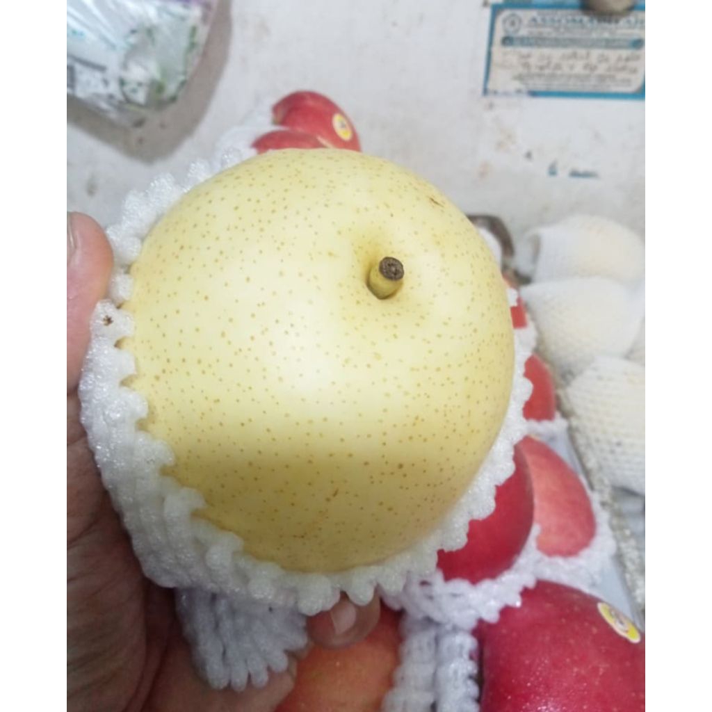pear Century manis renyah || buah import pir manis