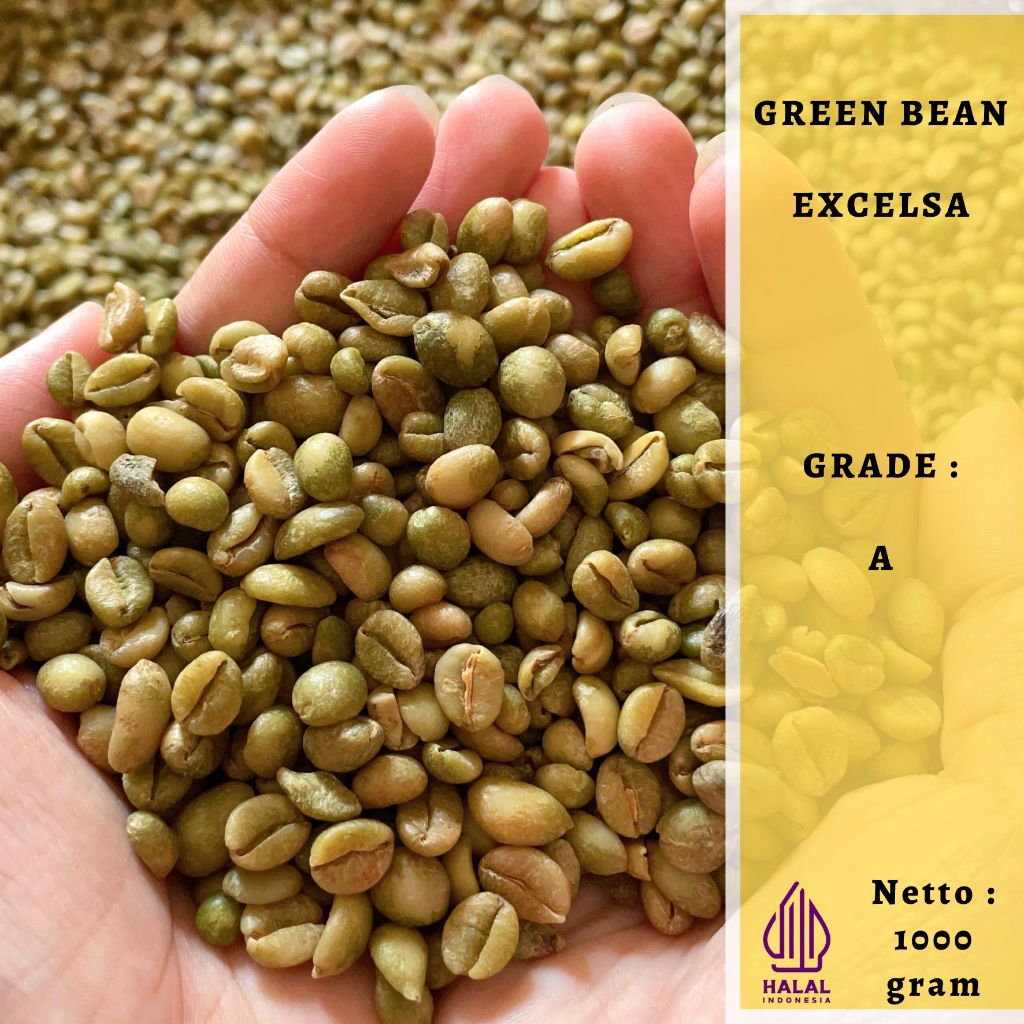 Kopi Excelsa Biji Kopi Excelsa 1 kg Mentah Green Bean Excelsa