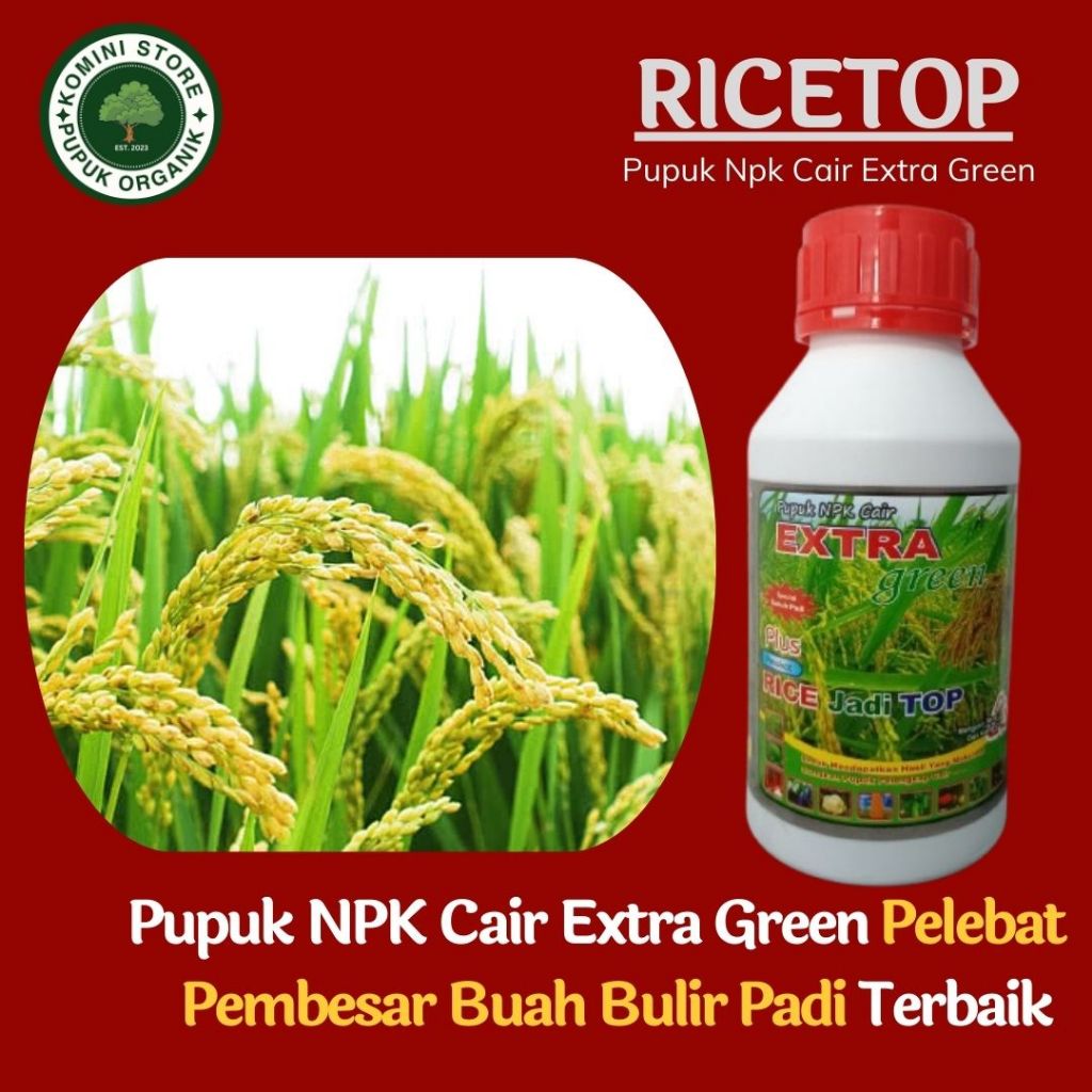 Ricetop Pupuk Padi – Solusi Tanaman Lebih Subur & Produktif - Pupuk Ricetop Original – Padi Subur, H