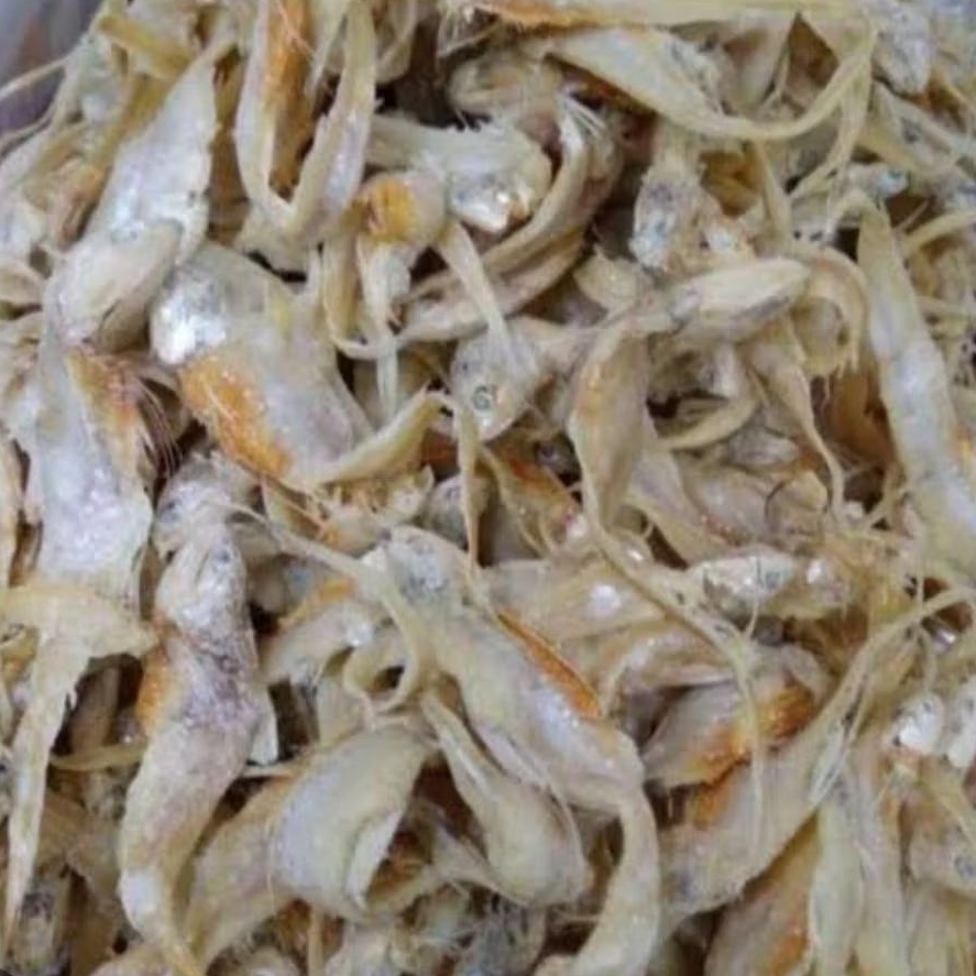 

Ikan Asin Bulu Ayam 100g Houngbue Pou Ronjeng Seafood Kering Khas Pontianak