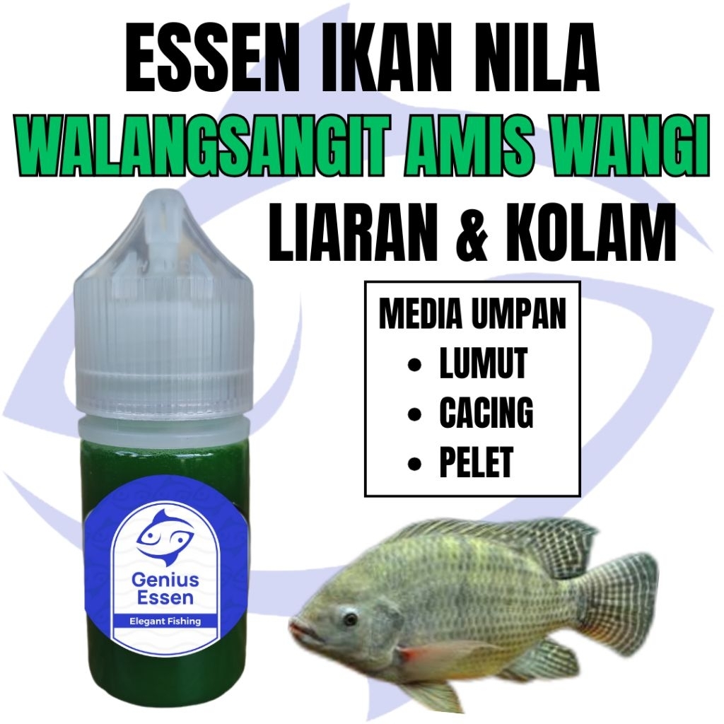 ESSEN IKAN NILA AROMA WALANGSANGIT AMIS WANGI essen ikan nila liaran essen ikan nila kolam essen ika
