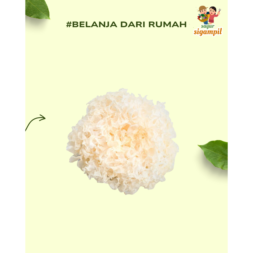 

Jamur Salju Putih / Snow White Fungus / Yin Er Bai Mu Er 30gr