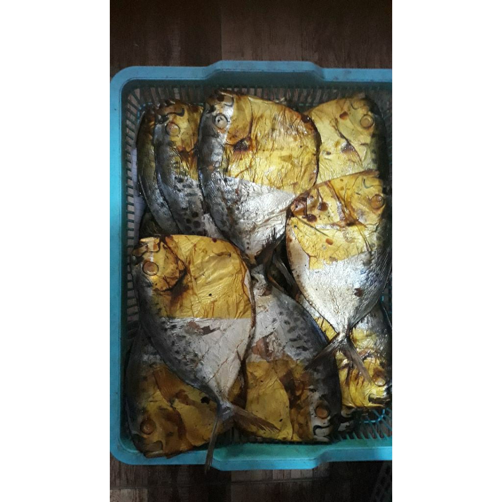 

ikan semar isi 4 ukuran besar daging tebal