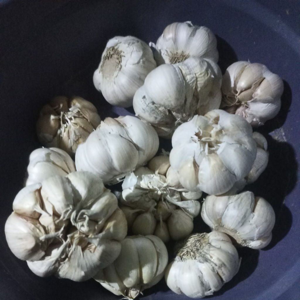 

bawang putih premium berat 500/1kg