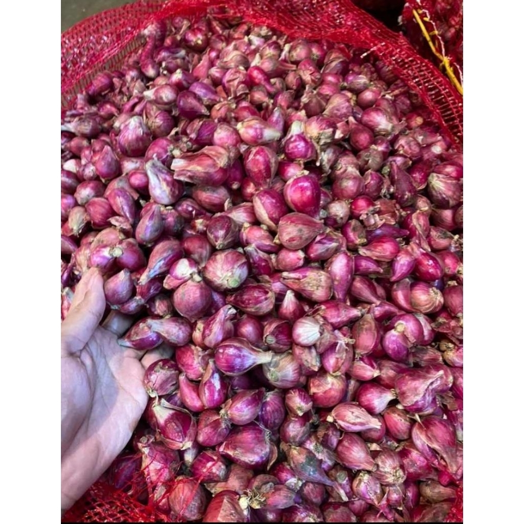 

bawang pilihan super