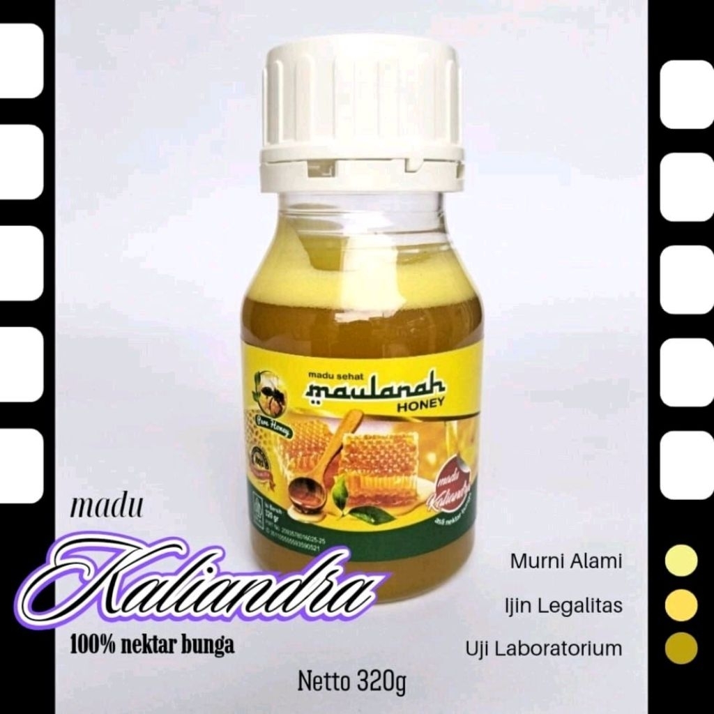 

MADU MURNI / MADU ASLI - MADU KALIANDRA - MAULANAH HONEY 320 GRAM