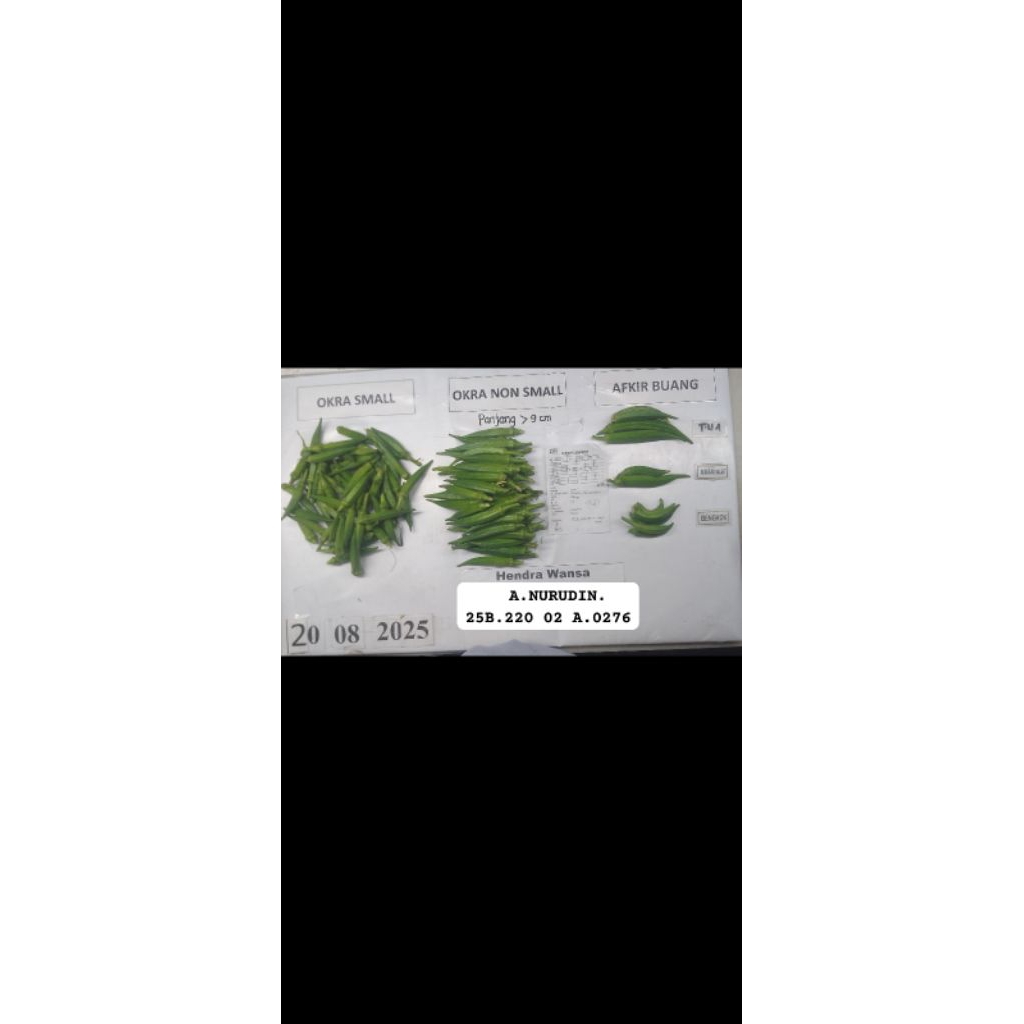 sayur okra