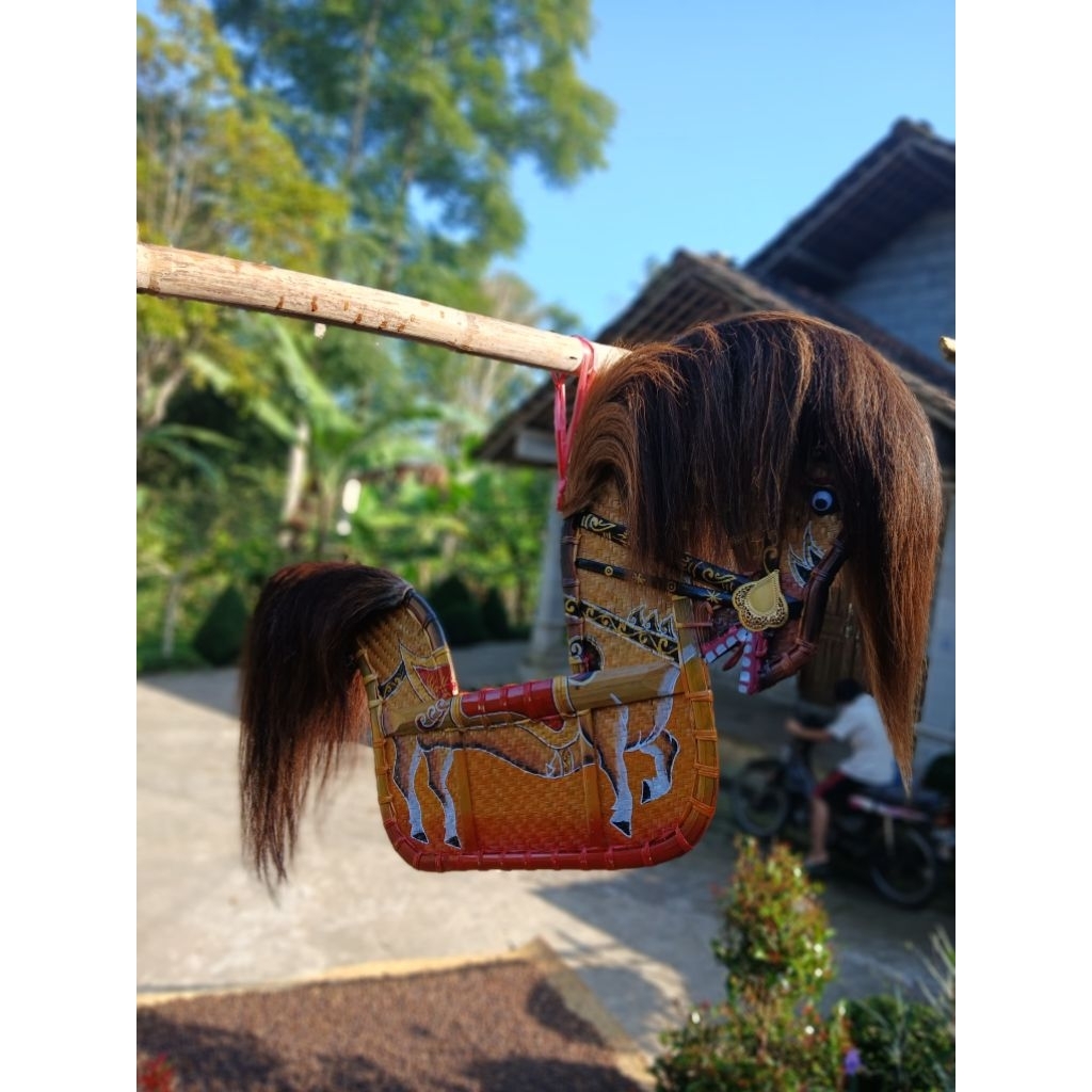 SEPASANG RAMBUT JARAN MODEL SURI