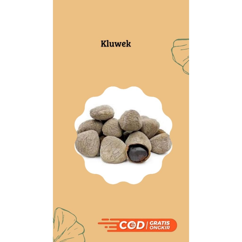 

Kluwek Hitam sudah proses peraman