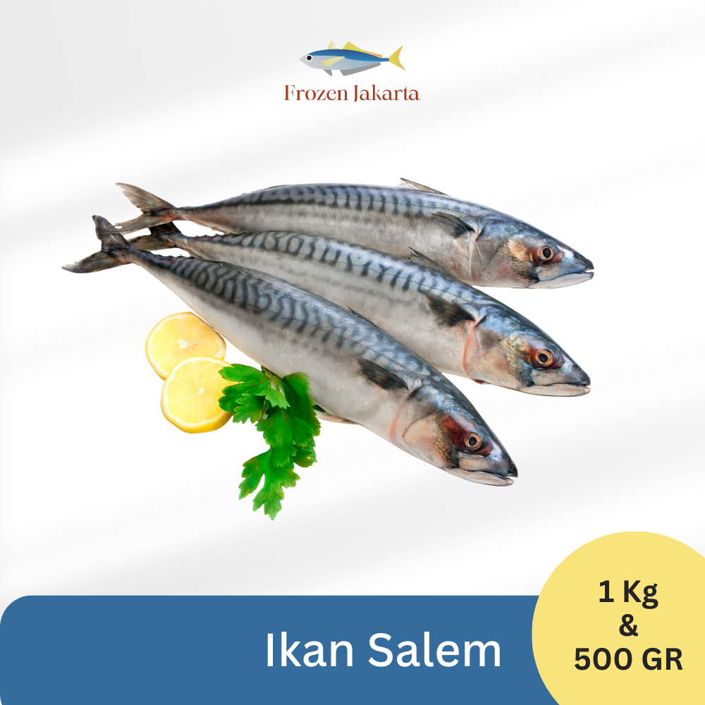 

Ikan Salem Utuh Frozen Jakarta 500gr & 1kg Fresh Beku