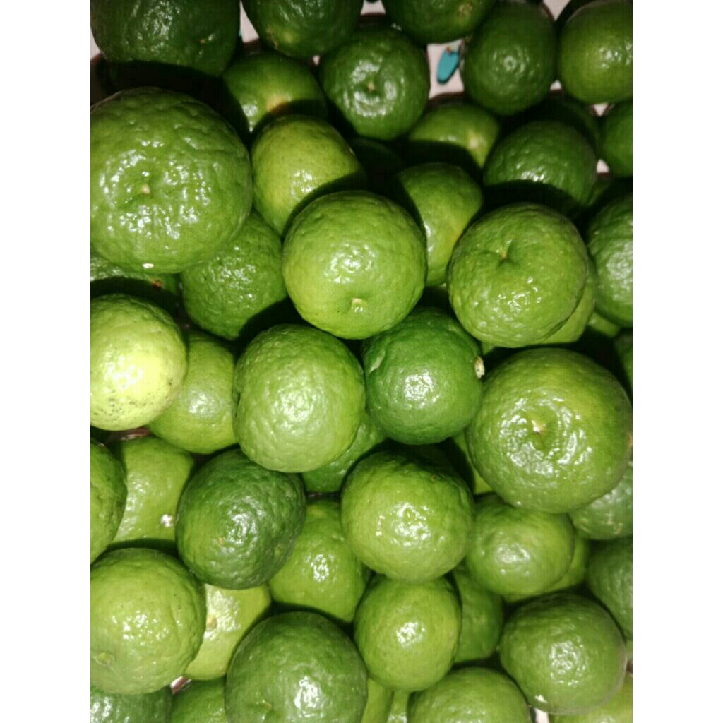 

Jeruk Limau | Jeruk Limo | 100% FRESH
