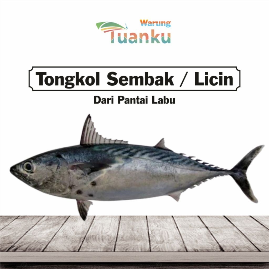 

Ikan tongkol Fresh - Warung Tuanku