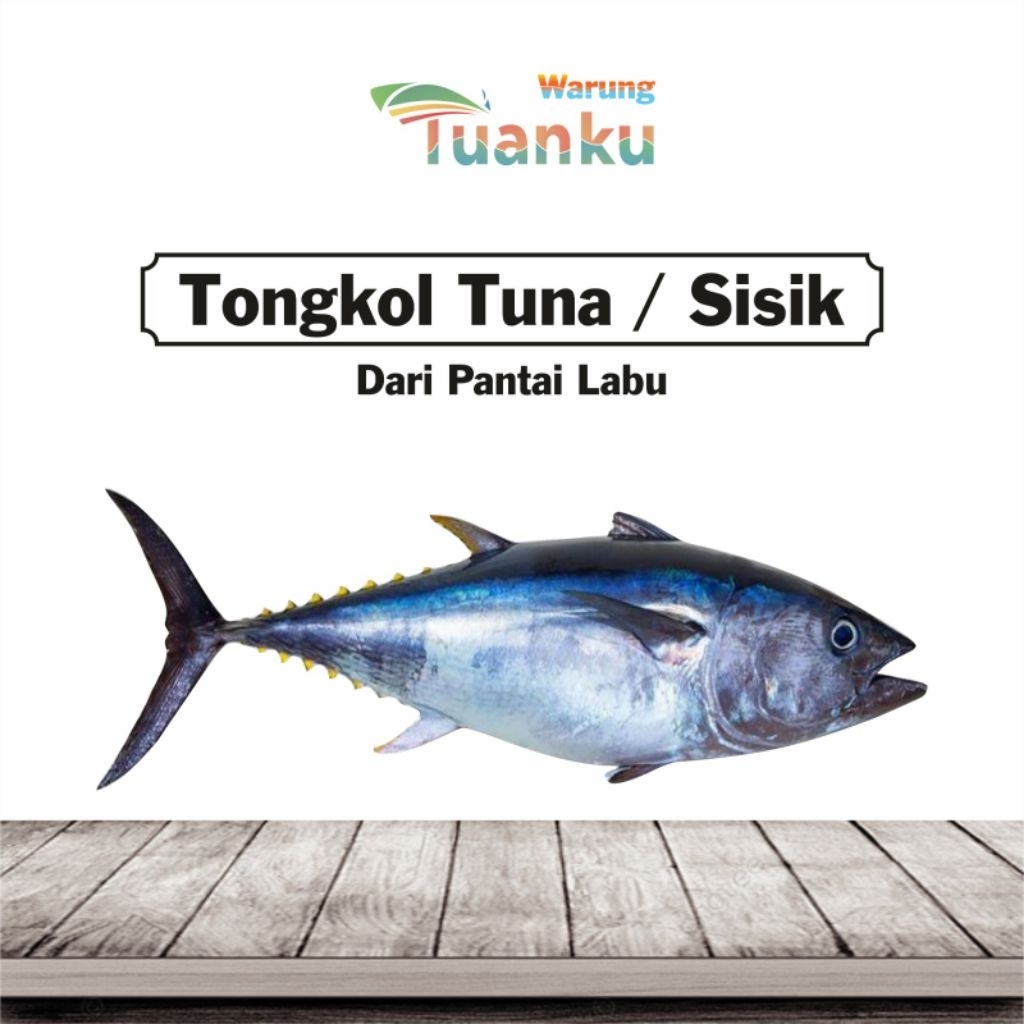 

Ikan Tongkol Sisik/Tuna - warung tuanku