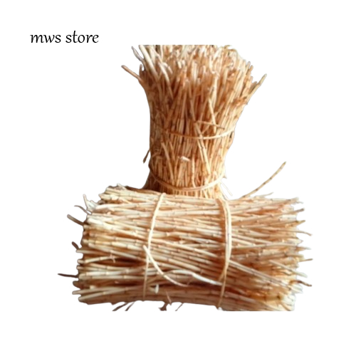 

Akar Alang alang Segar fres 1 kilo gram