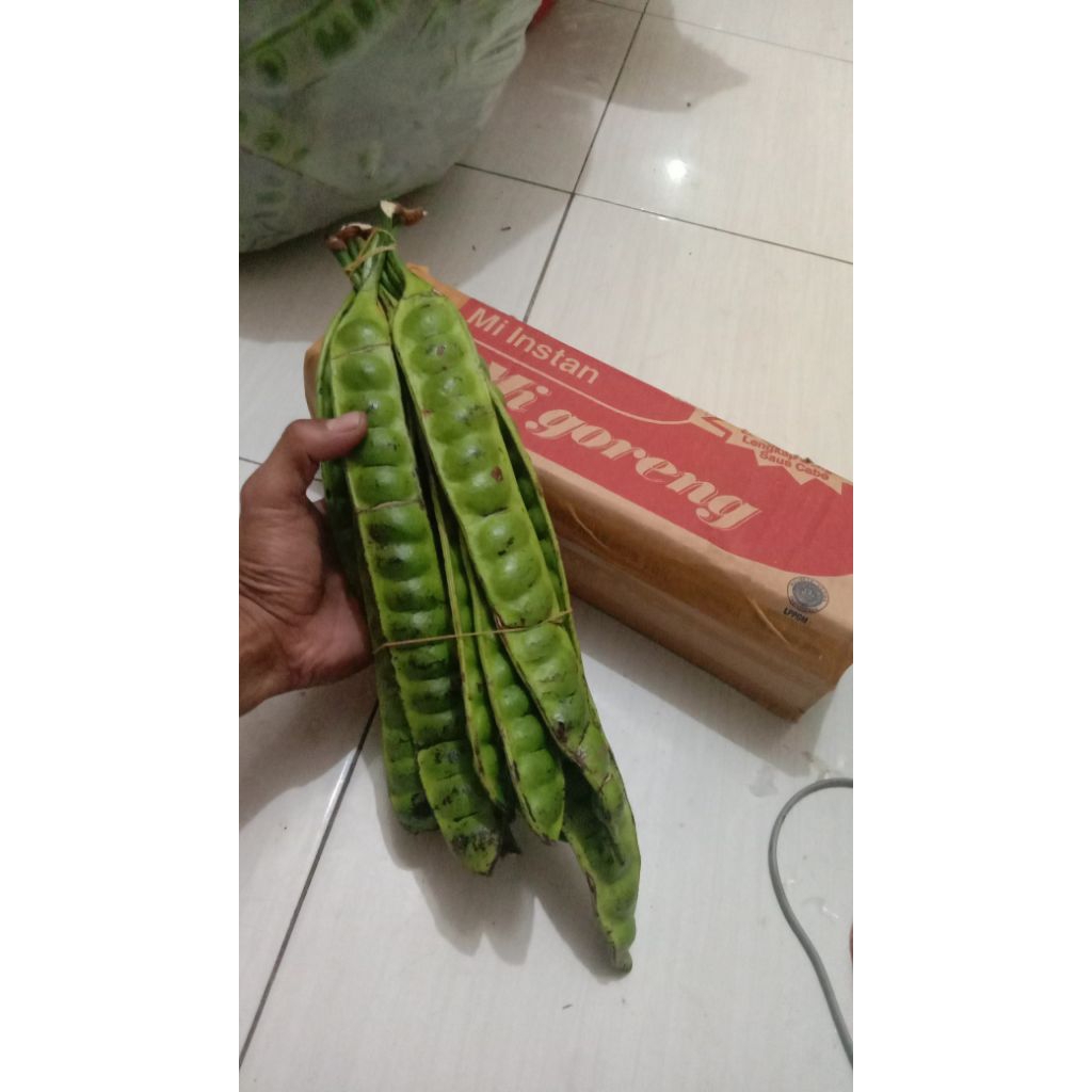 

pete / petai lokal jawa