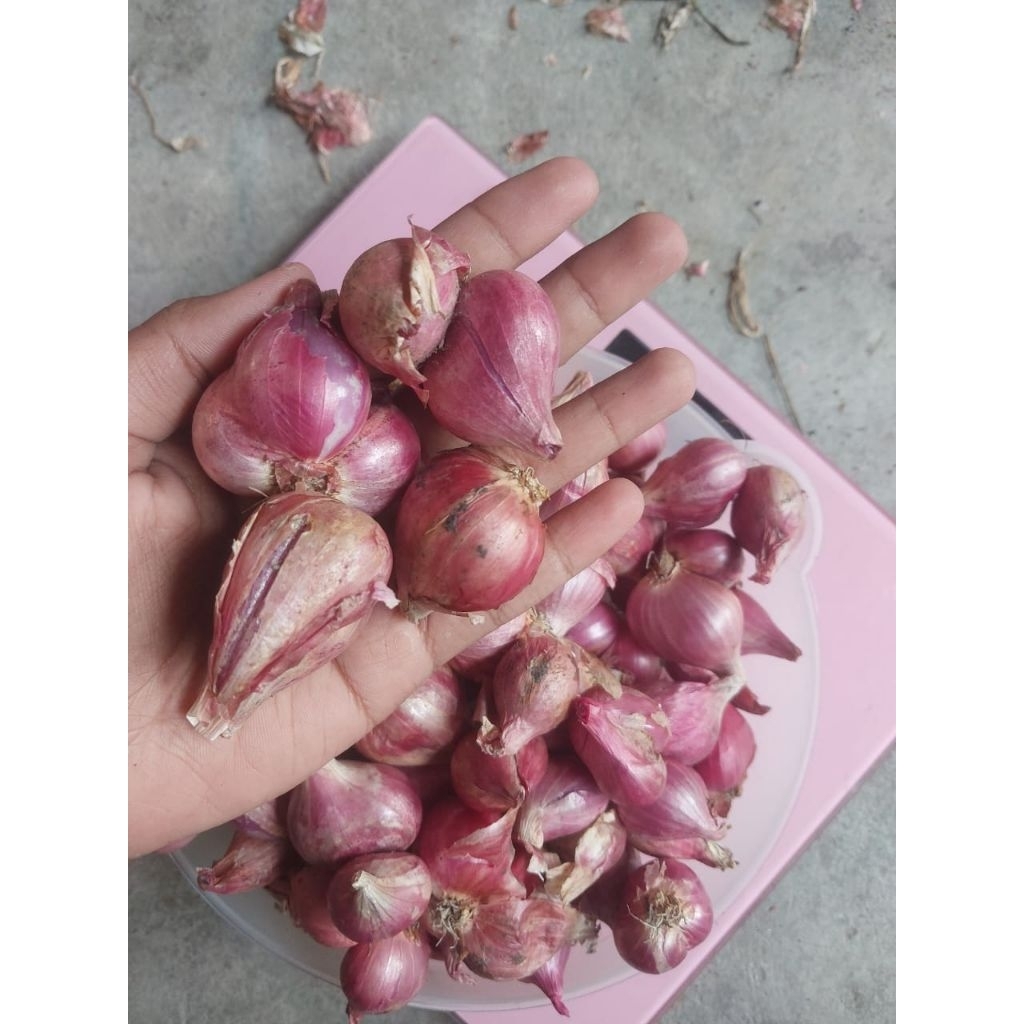 

Bawang merah Nganjuk 1kg (ukuran besar)