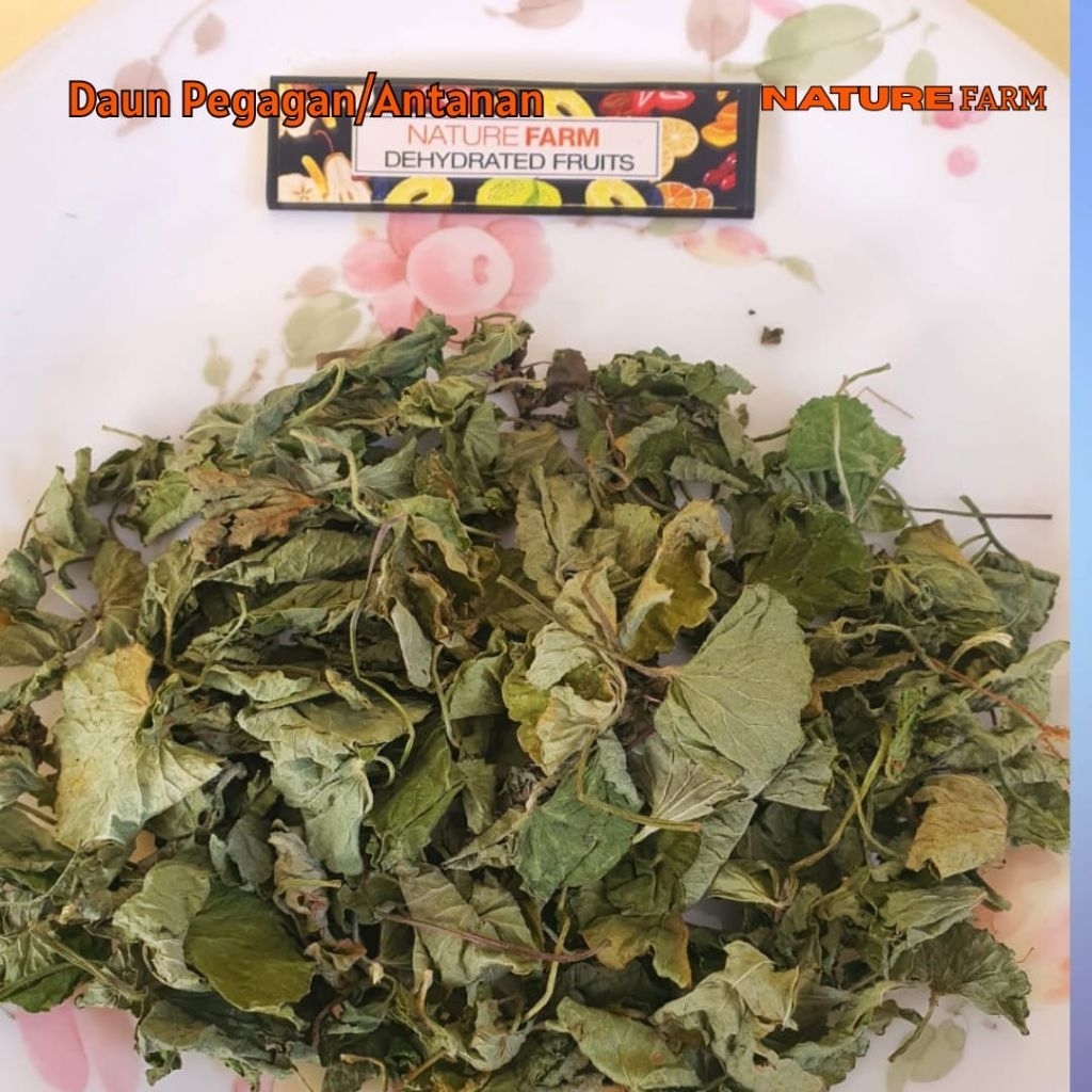 

Nature Farm Premium Teh Pegagan - Teh Pegagan/Antanan kering - Centella asiatica