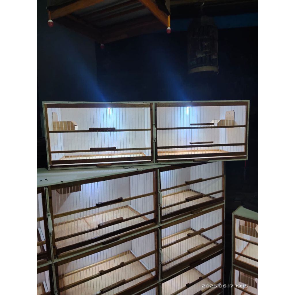Box kandang ternak kenari