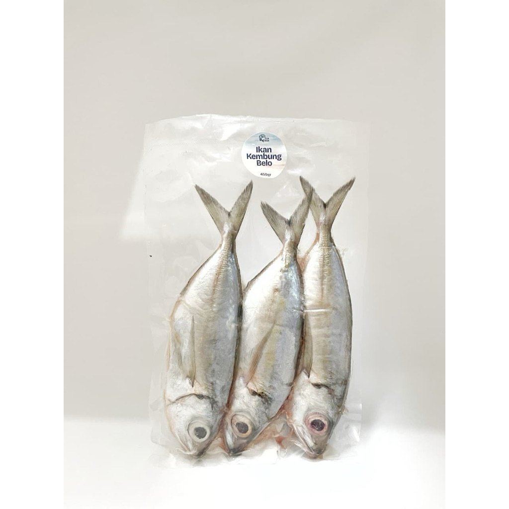 

Tsakha Fish- (500 gr) Kembung Mata Belo