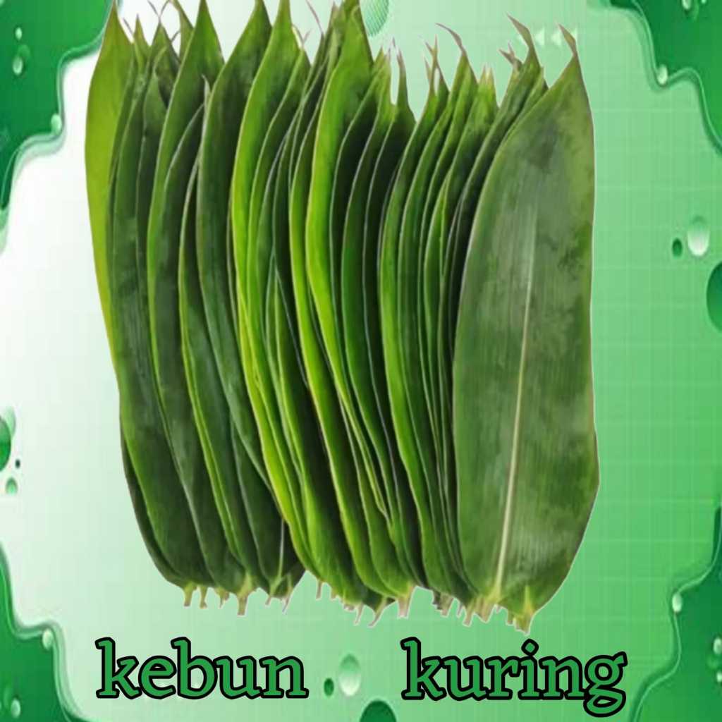 

daun bambu segar 100 lembar bungkus bakcang - daun bambu bungkus makanan