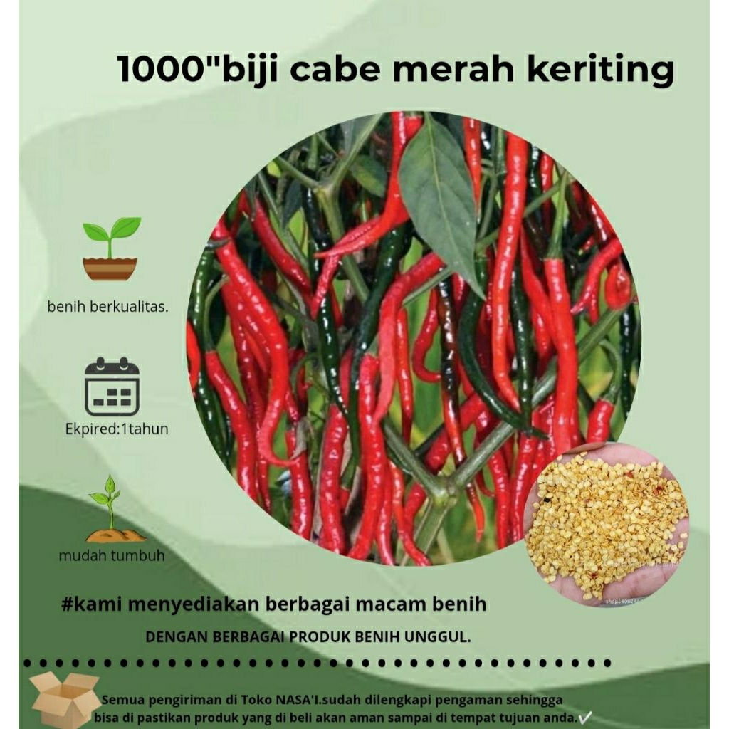 

1000:>biji cabe merah kriting|biji cabe berkualitas