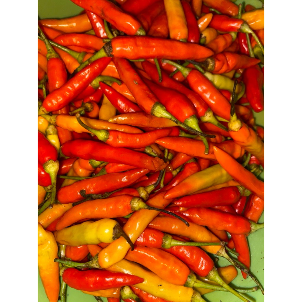 

Cabai Rawit Merah Segar – 250gr / 500gr / 1kg