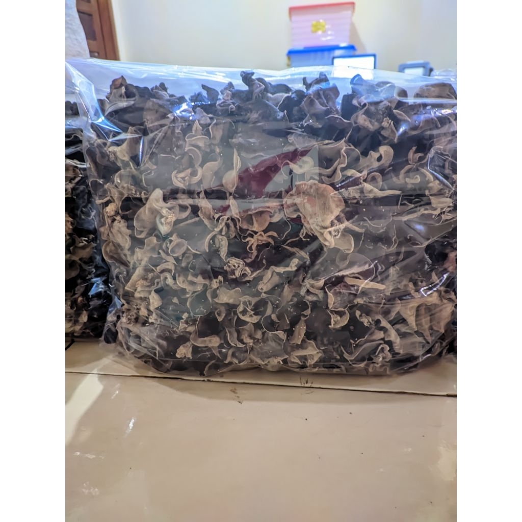 

jamur kuping kering 1kg grade mix sortir termurah