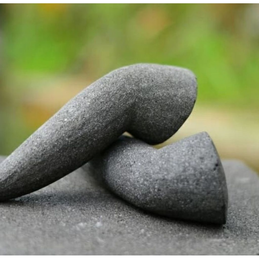 ulekan batu asli atau muntu