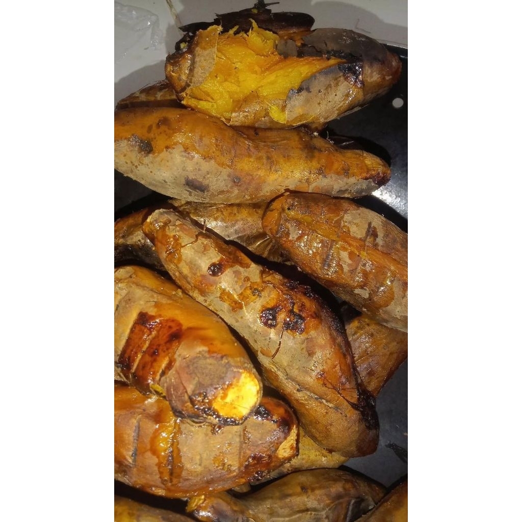 

Ubi Cilembu Asli Pacet – Manis Alami | Fresh & Siap Panggang | Mentah