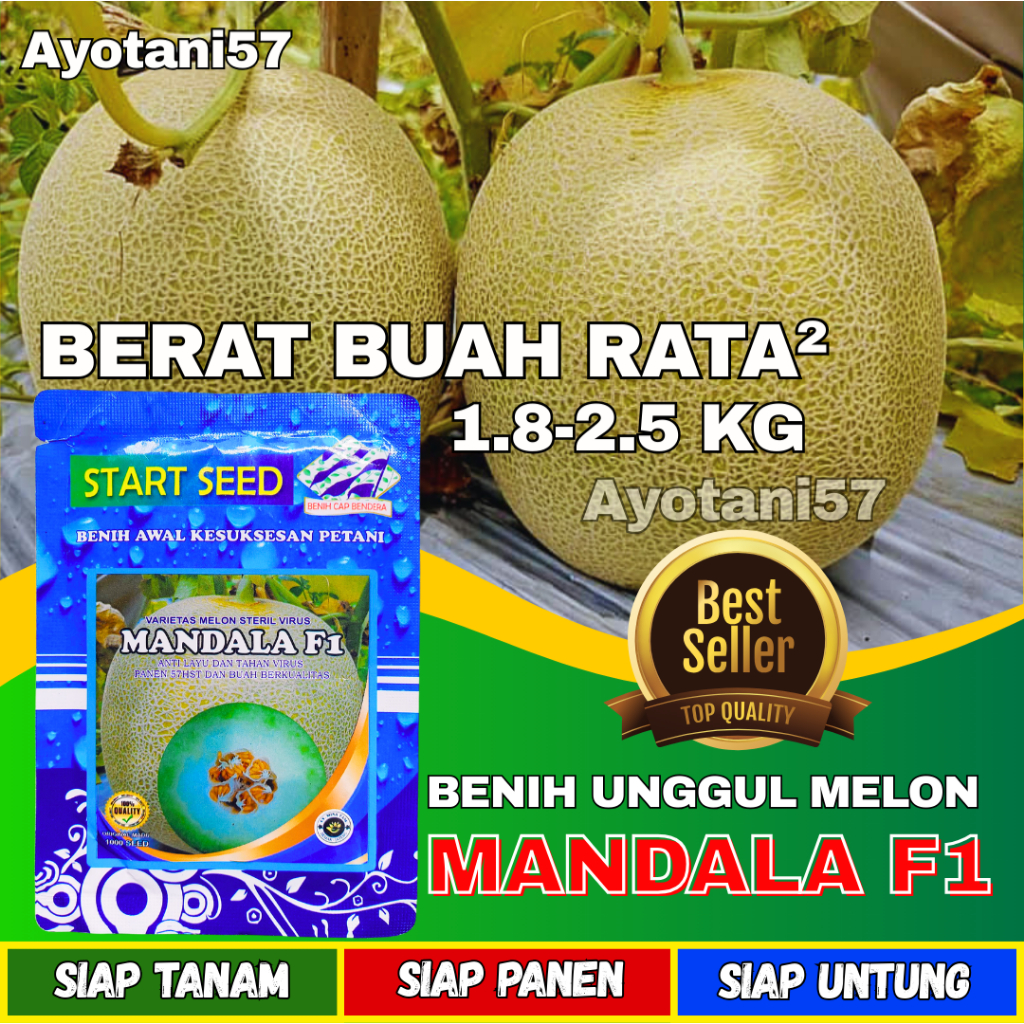 AYOTANI Bbit Melon Madu MANDALA F1 Benih Melon Madu super manis bibit melon madu super jumbo