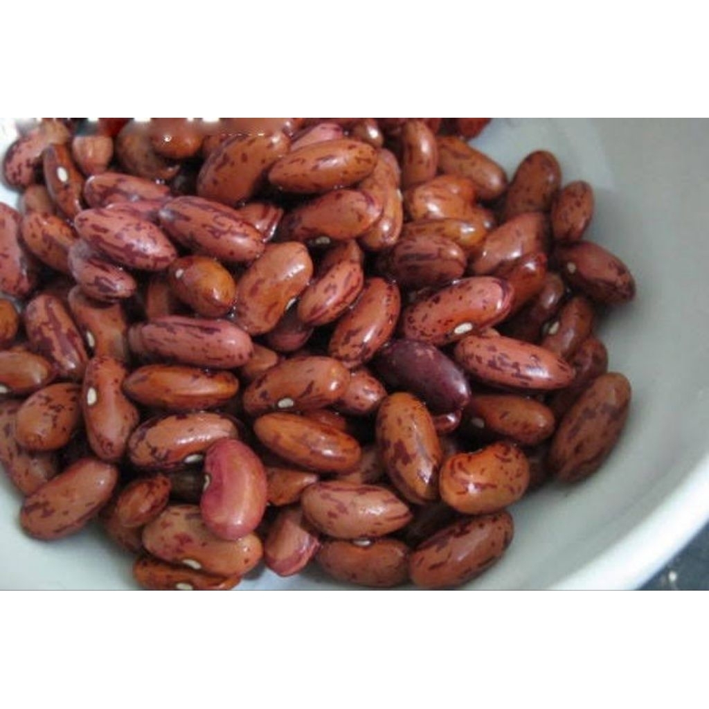 

Kacang Merah Kidney Organik 50gr / 100gr Kidney Bean