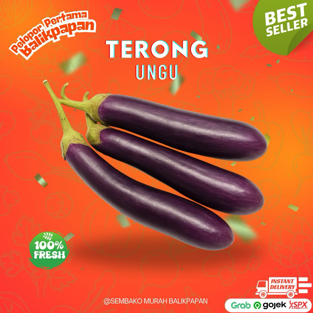 

terong ungu