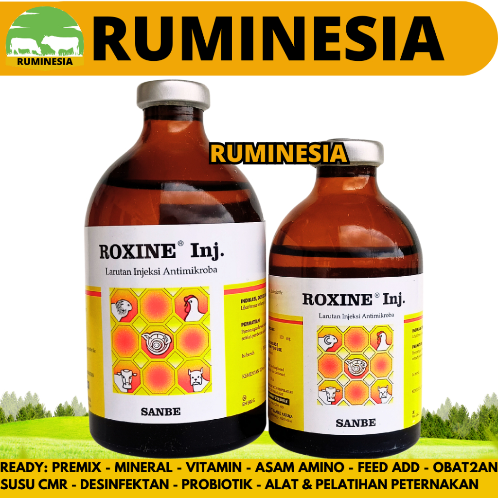PROMO ROXINE INJ 100ML ROXINE 50ML SANBE - Obat Hewan Antibakteri Pernafasan Ternak Sapi Ayam Unggas