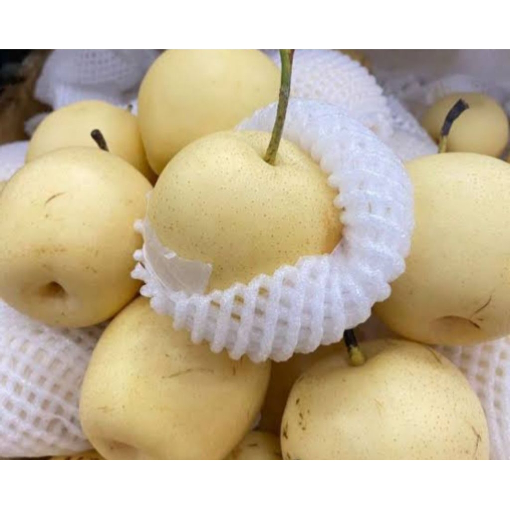

Buah Pear Century Pir Segar 1 kg