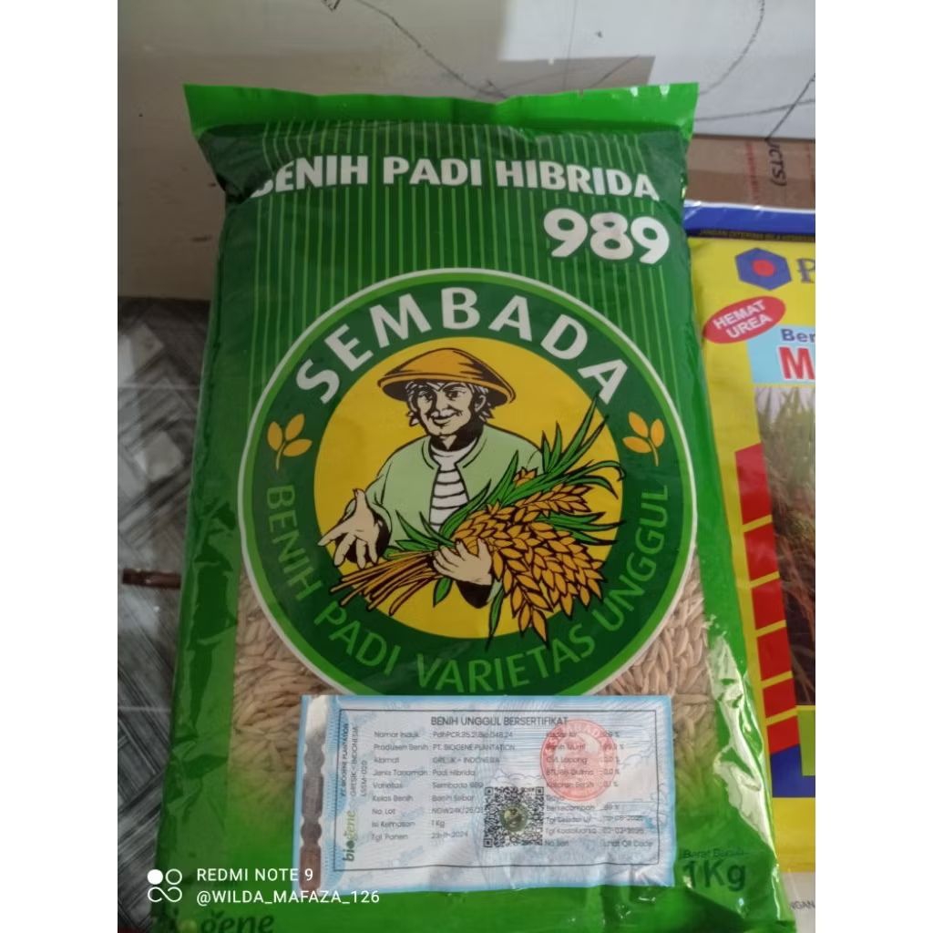 benih padi SEMBADA 989 original